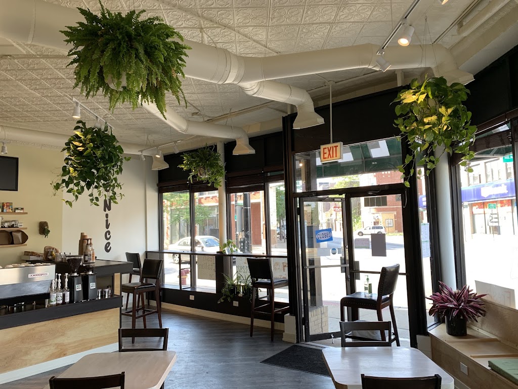 Photo of Sipping Turtle Cafe