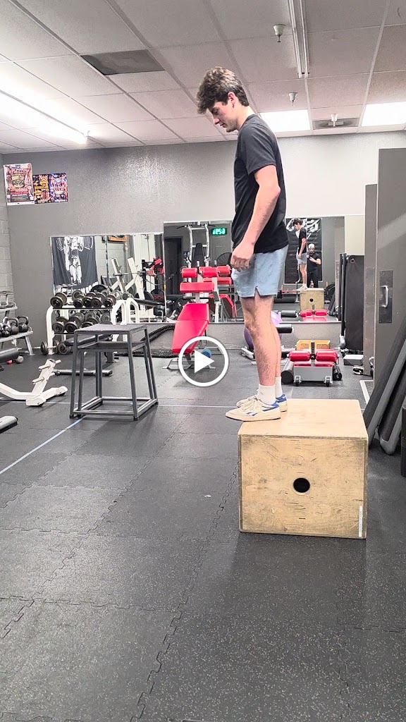  Crossover Performance