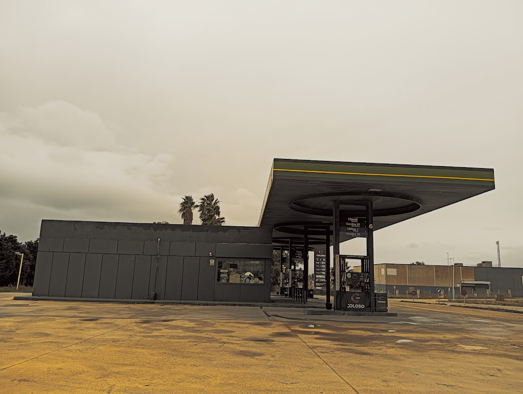 Coloso La Linea de la Concepcion