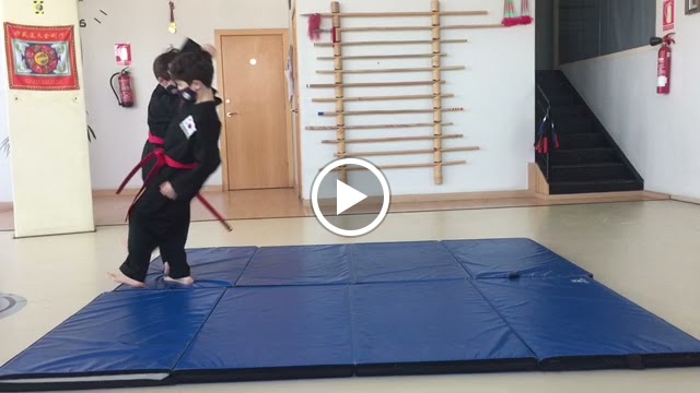 El Club Esportiu Hapkido MuSul St. Boi — Arte marcial