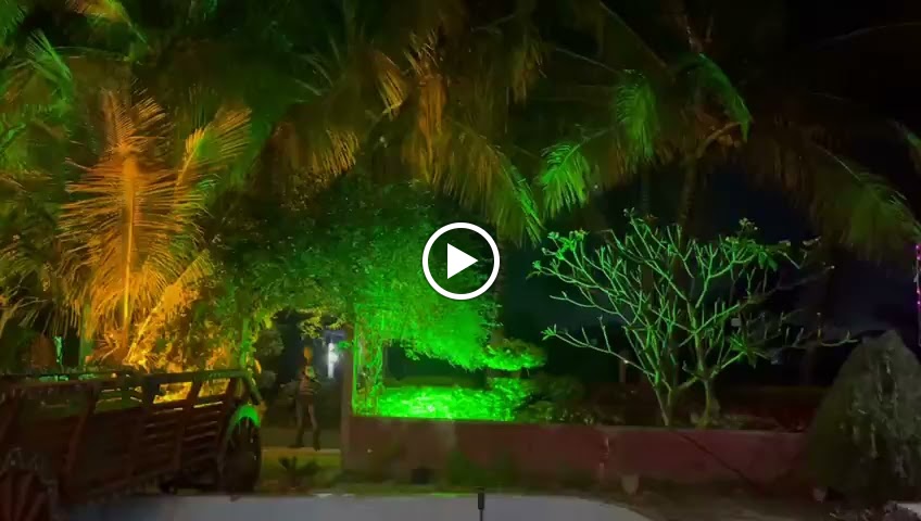 Videos