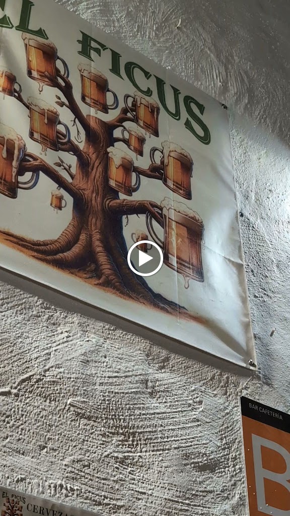 El Ficus — Videos
