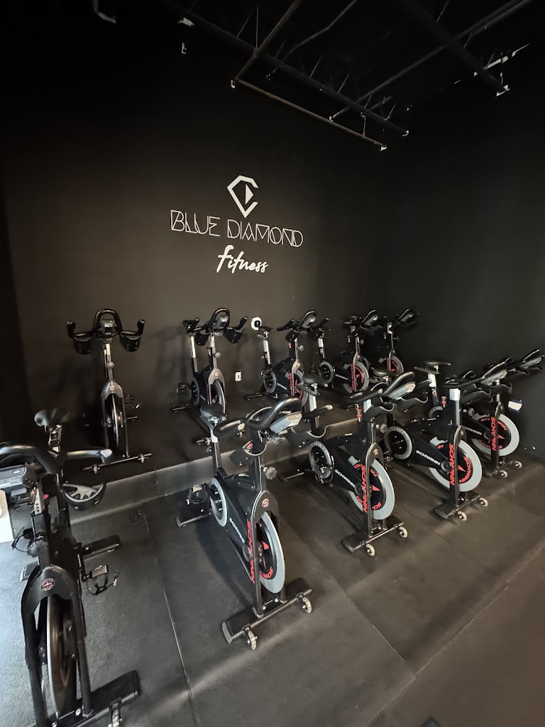  Blue Diamond Fitness 2.0
