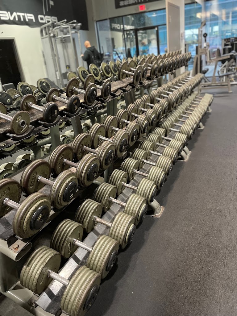  Grandview Pro Fitness