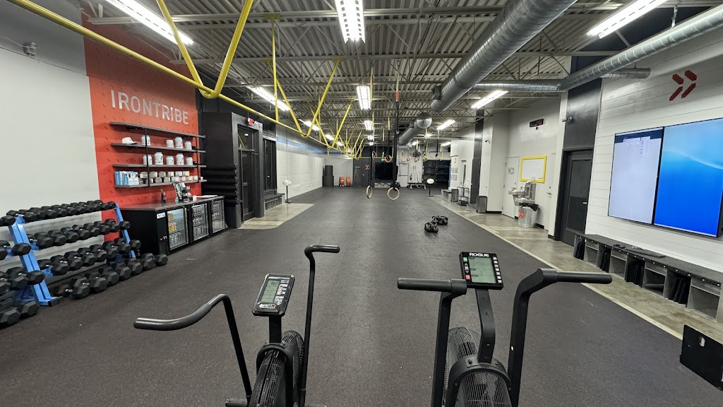  Iron Tribe Fitness Cotswold