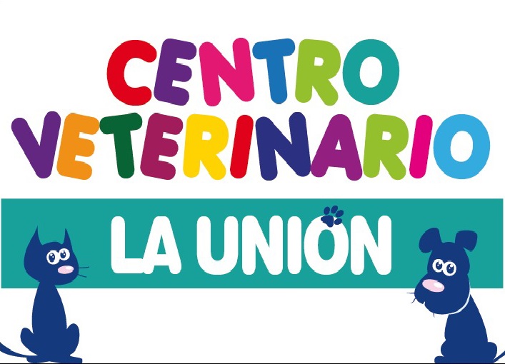 Centro Veterinario La Union — Gato