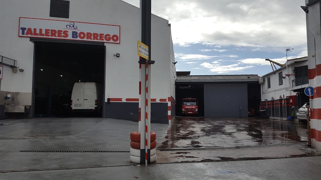 TALLERES Y GRUAS BORREGO