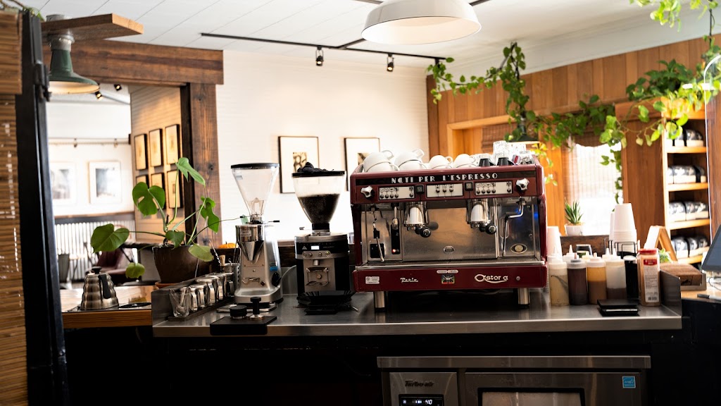 Photo of Leopard Forest Coffee Company