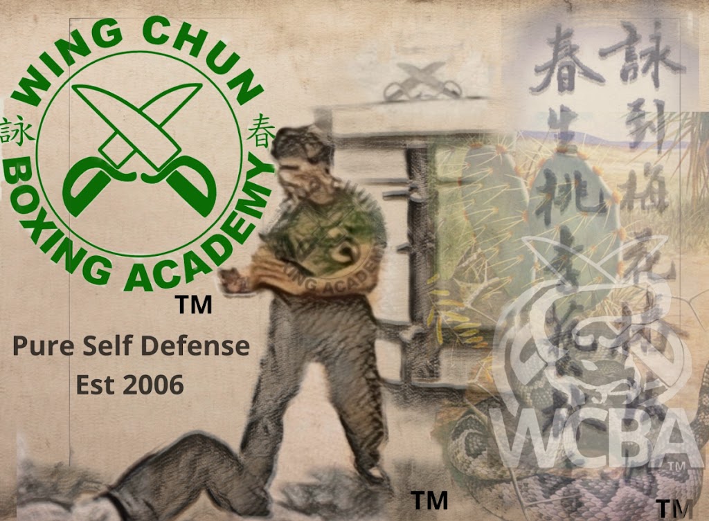  The Wing Chun Boxing Academy