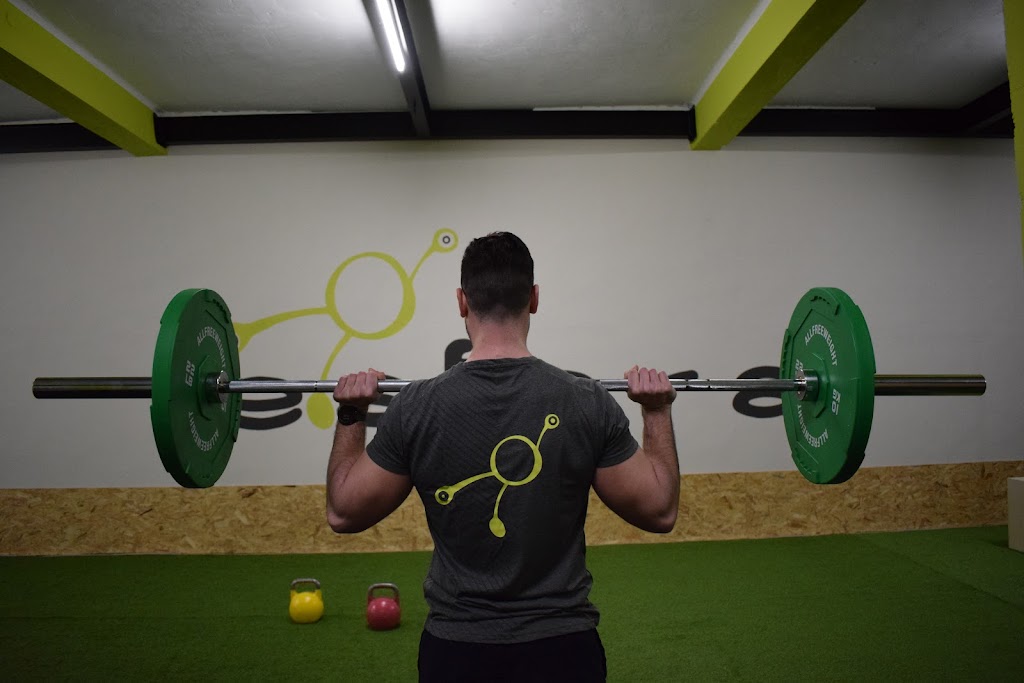 Gimnasio Esfera La Roda