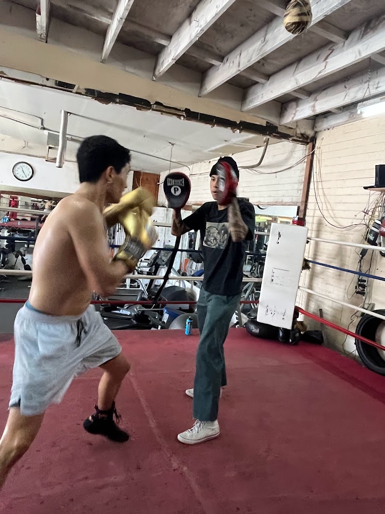  Flash Enterprises Boxing Academy