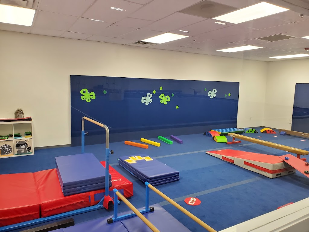  Gymnastics World of Georgia