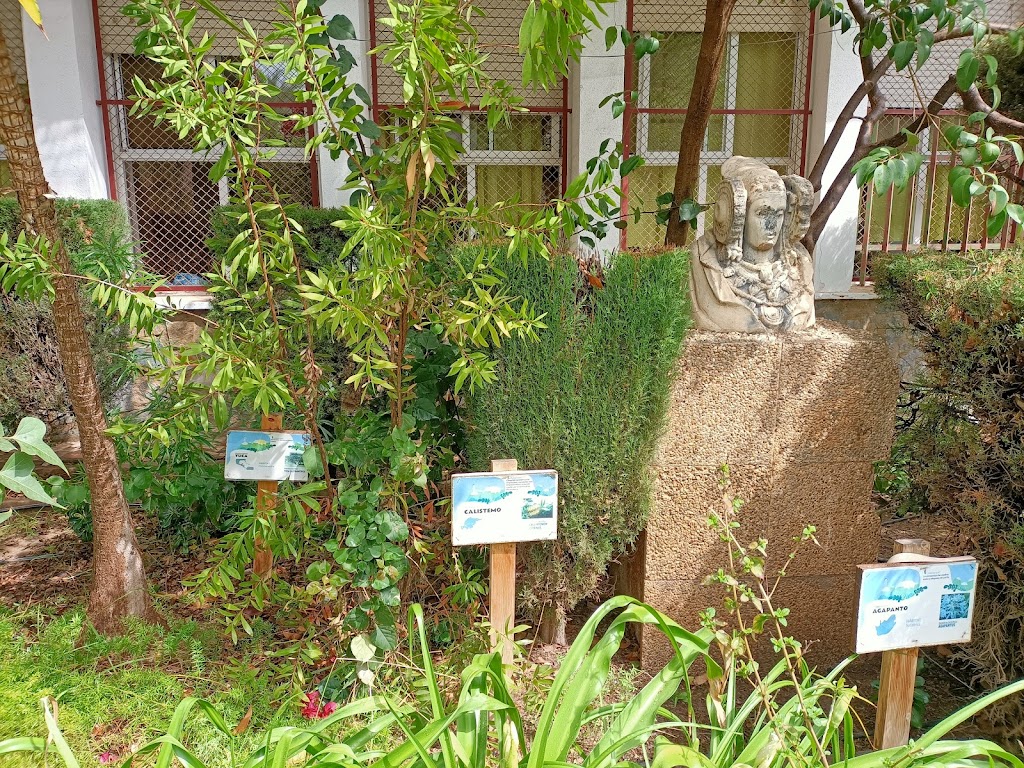 C.E.I.P. Menendez Pelayo