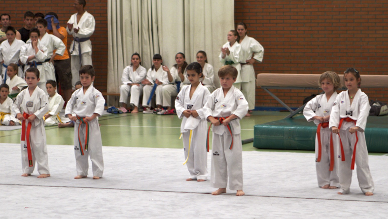 CLUB TAEKWONDO VVA. DEL PARDILLO