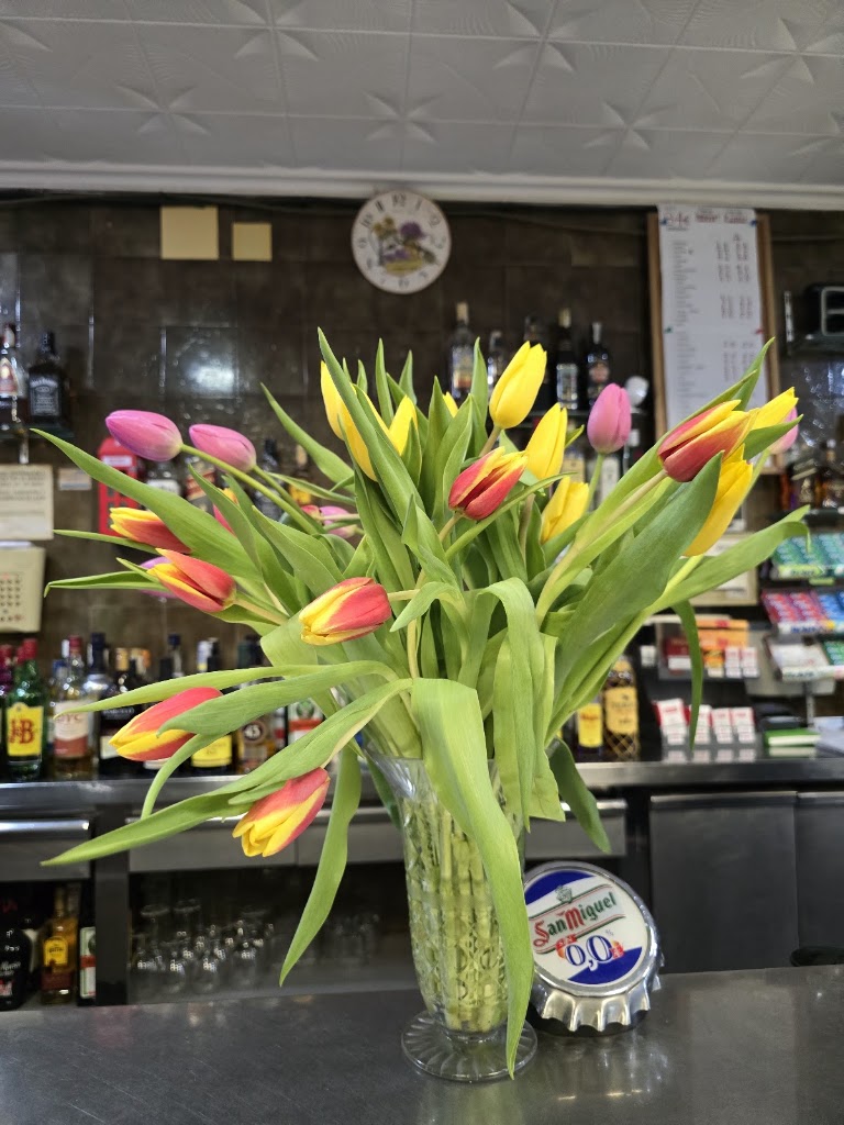 Bar Deportivo — Mas recientes