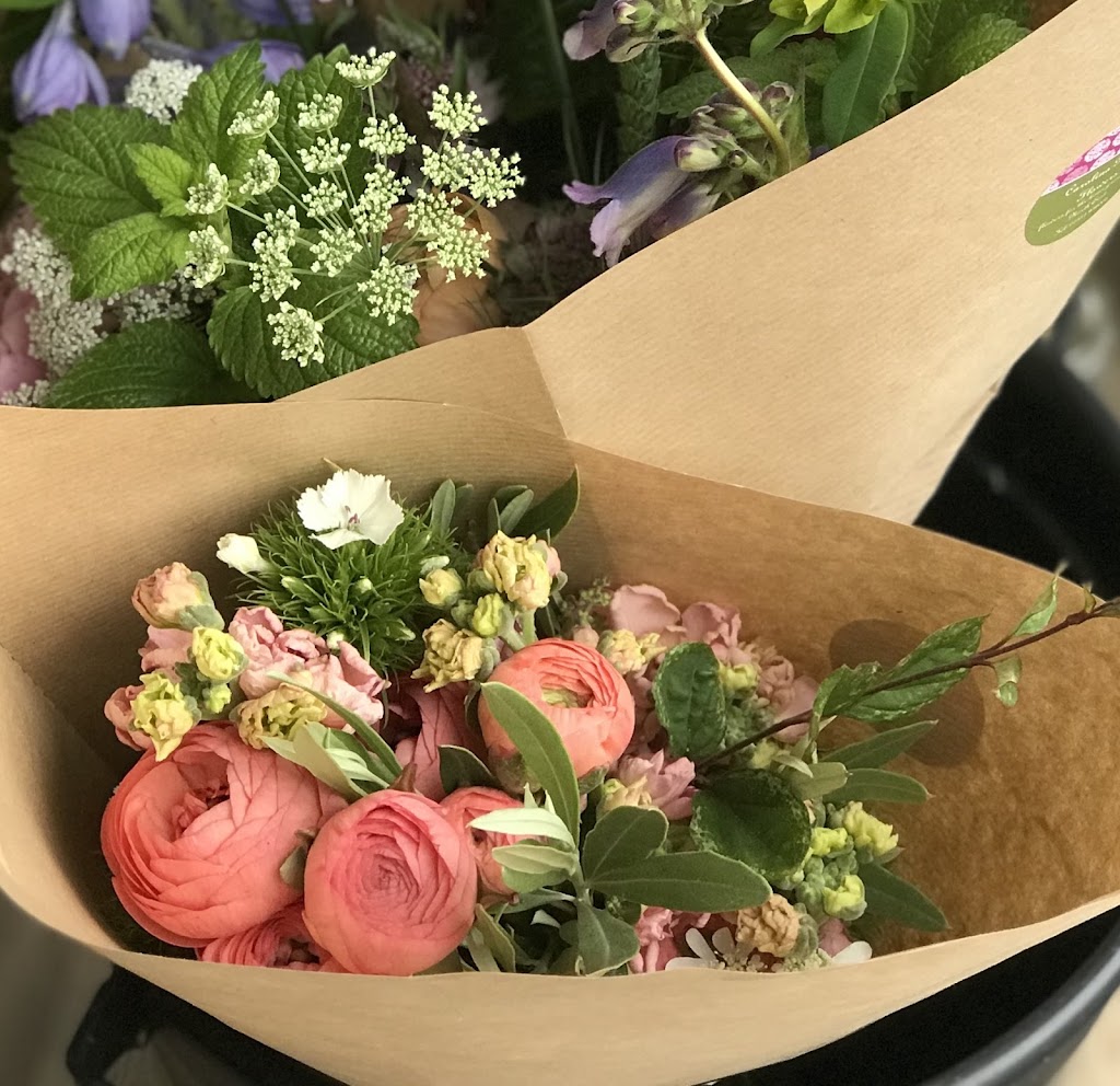 Carolina Moon Flowers