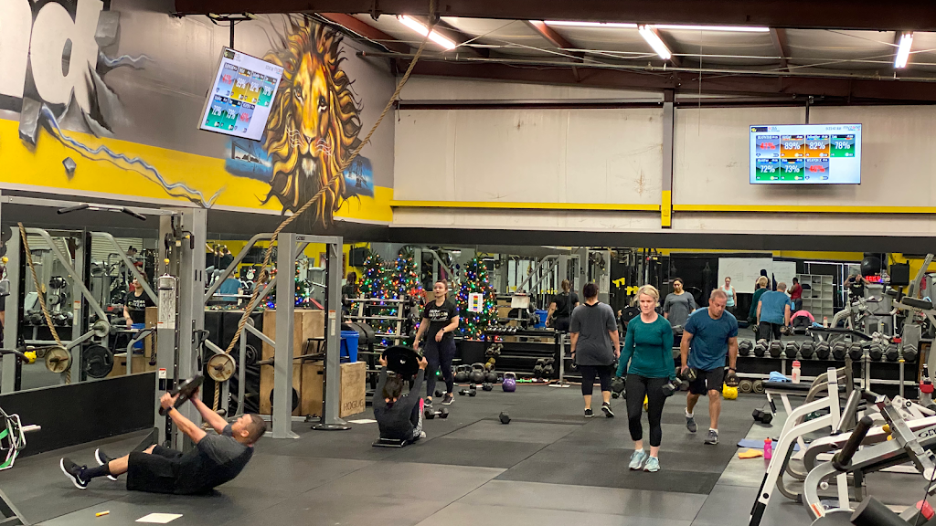  Fitness Grind and Performance