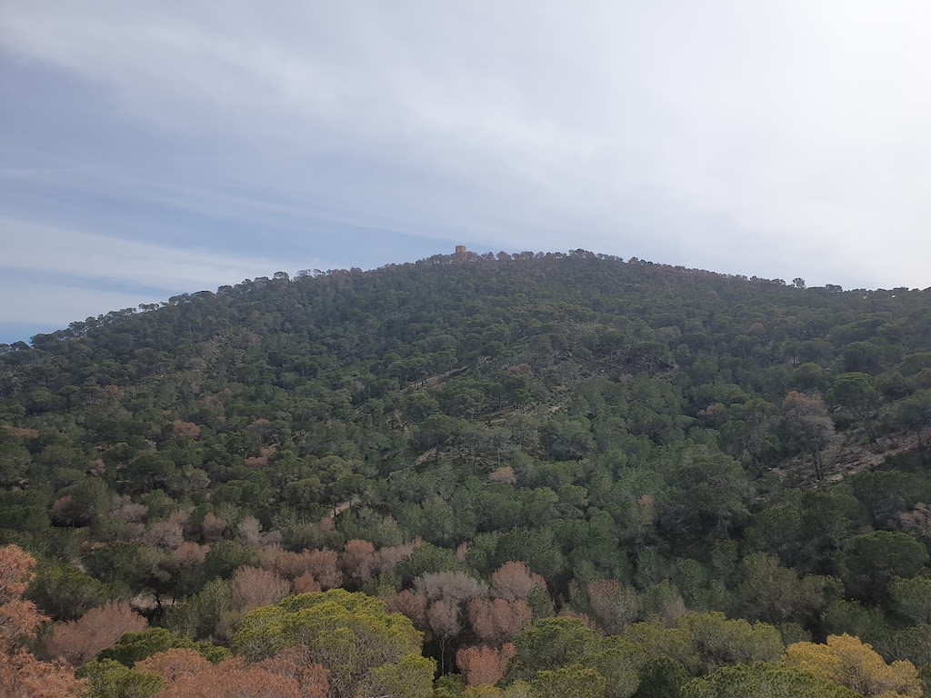Ruta Torre vigia Del Aguilo. (Inicio) — Mas recientes