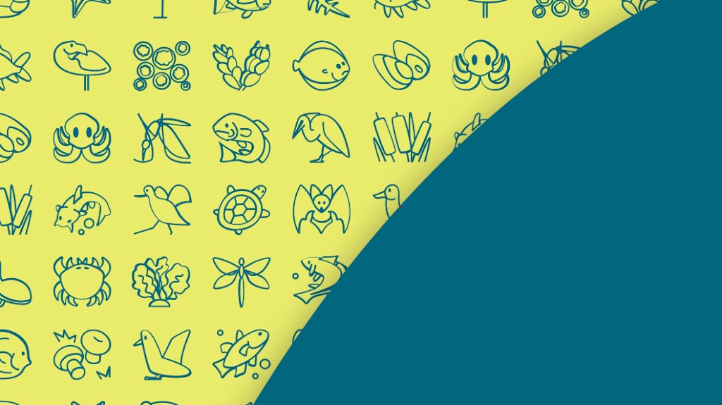 IEPAAC (Centre de Formacio Professional Integrada)