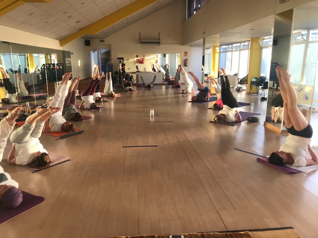 Kalava Yoga — Del propietario