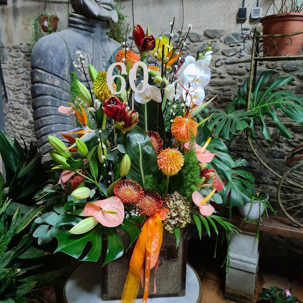 Floristeria Flors Mundet — Jardin