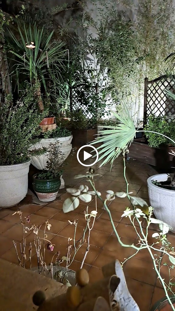 Restaurante La Fontana di Trevi — Videos