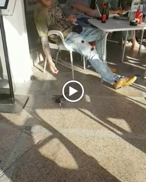Cafeteria Bar Comodoro — Videos