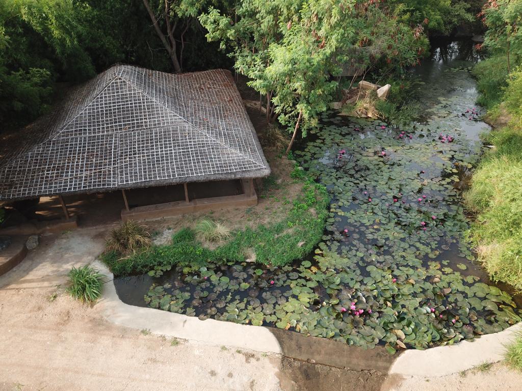 Hampi S Whiskers Resort