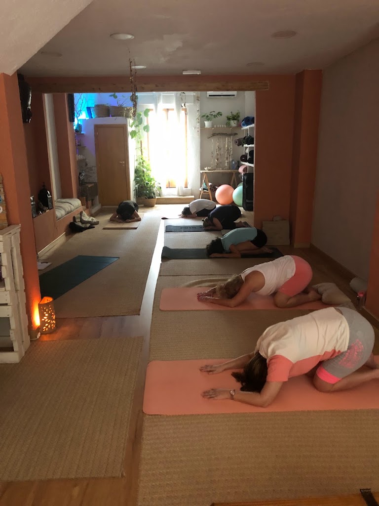 Escuela Yoga Raices — Del propietario