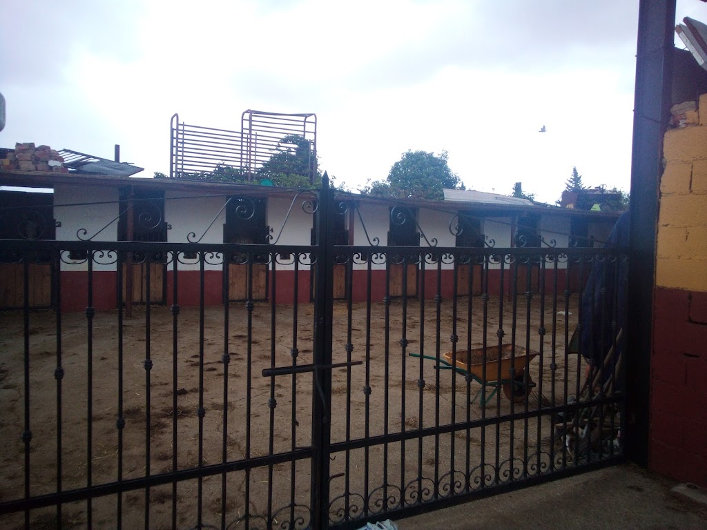 Escuela de equitacion y enganche El Toro