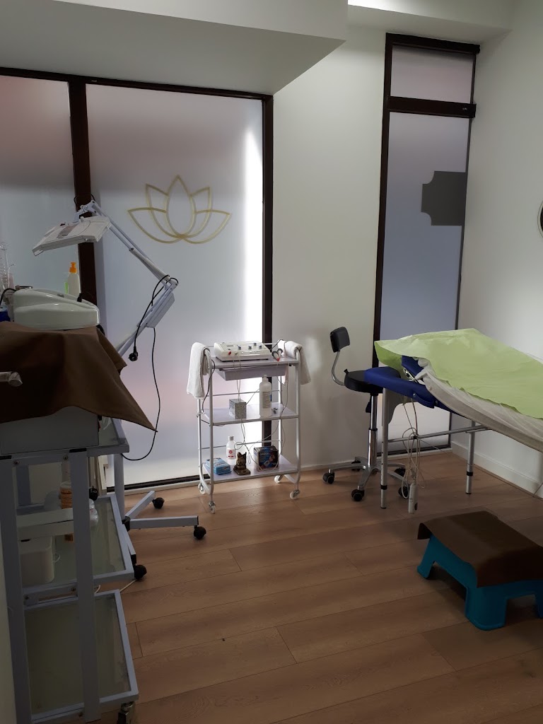 Diana Bellesa i Salut — Interior