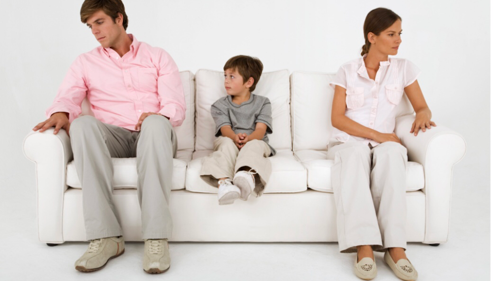 Curso de Postgrado universitario Coordinador Parental — Del propietario