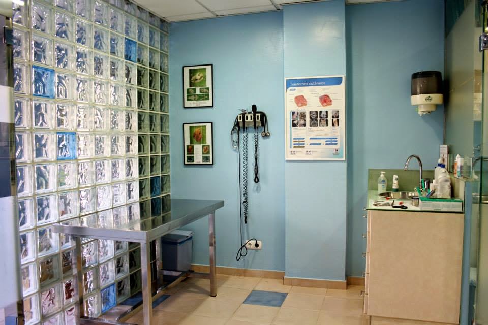 Vovet Serveis Veterinaris