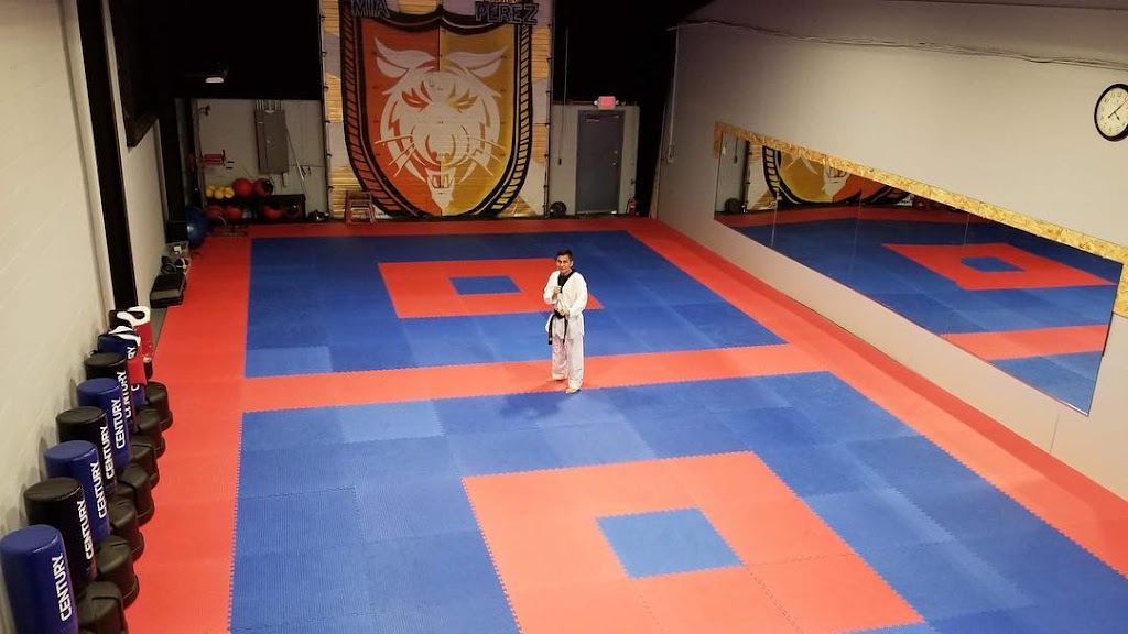  Michigan Institute of Athletics