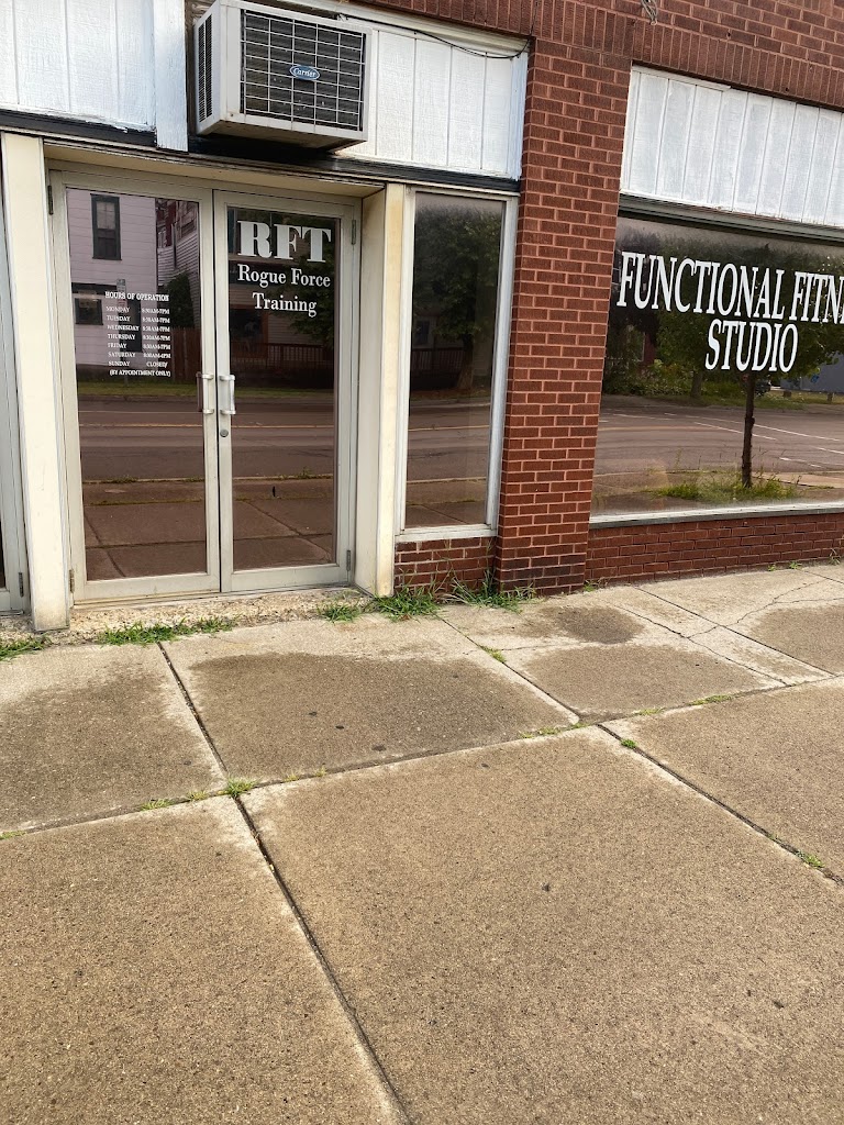  Rogue Force Training