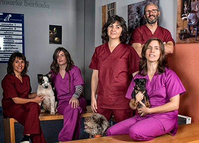 Clinica veterinaria Burlada — Del propietario