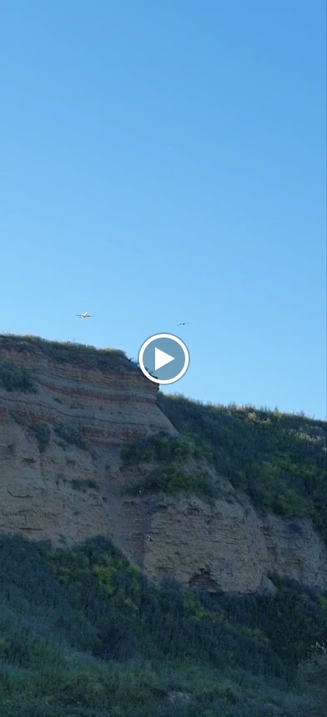 Mirador de aves — Videos