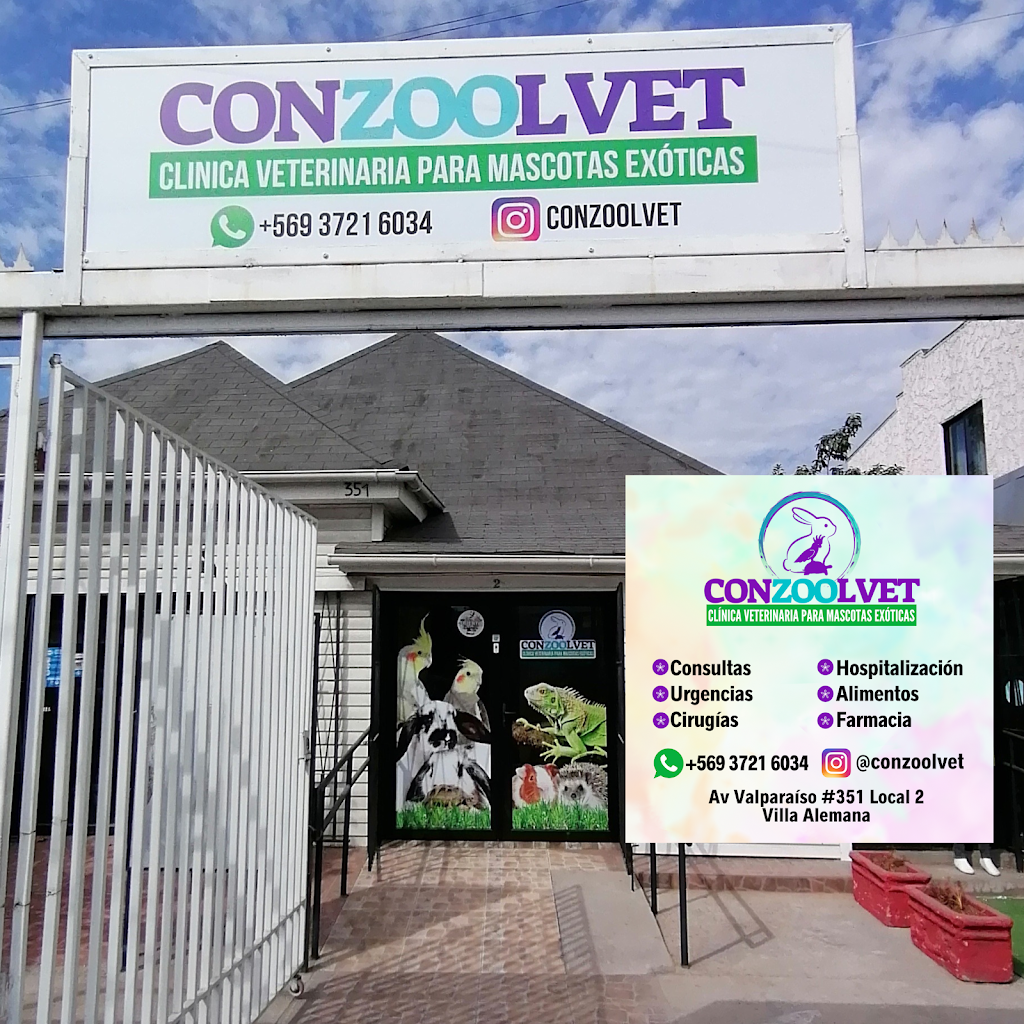 Conzoolvet - Veterinaria Exóticos en Villa-Alemana