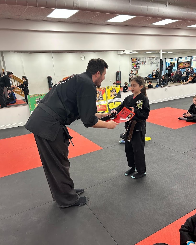  Steve DeMasco's Martial Arts of Wellesley