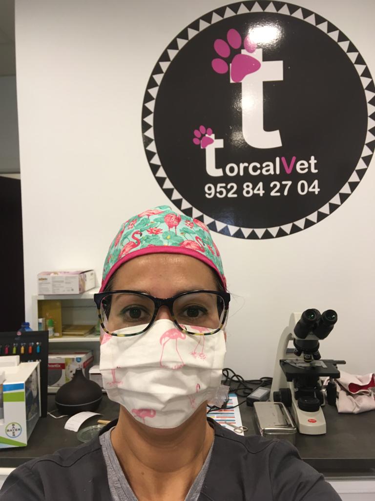 Torcalvet clinica veterinaria — Del propietario