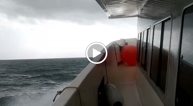 Tabarkeras Santa Pola | Viajes en barco a la isla de Tabarca. — Del propietario