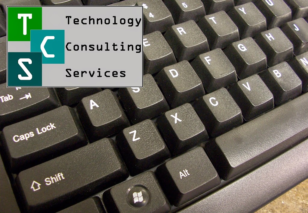 Technology Consulting Services Llc