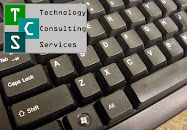 Technology Consulting Services, LLC