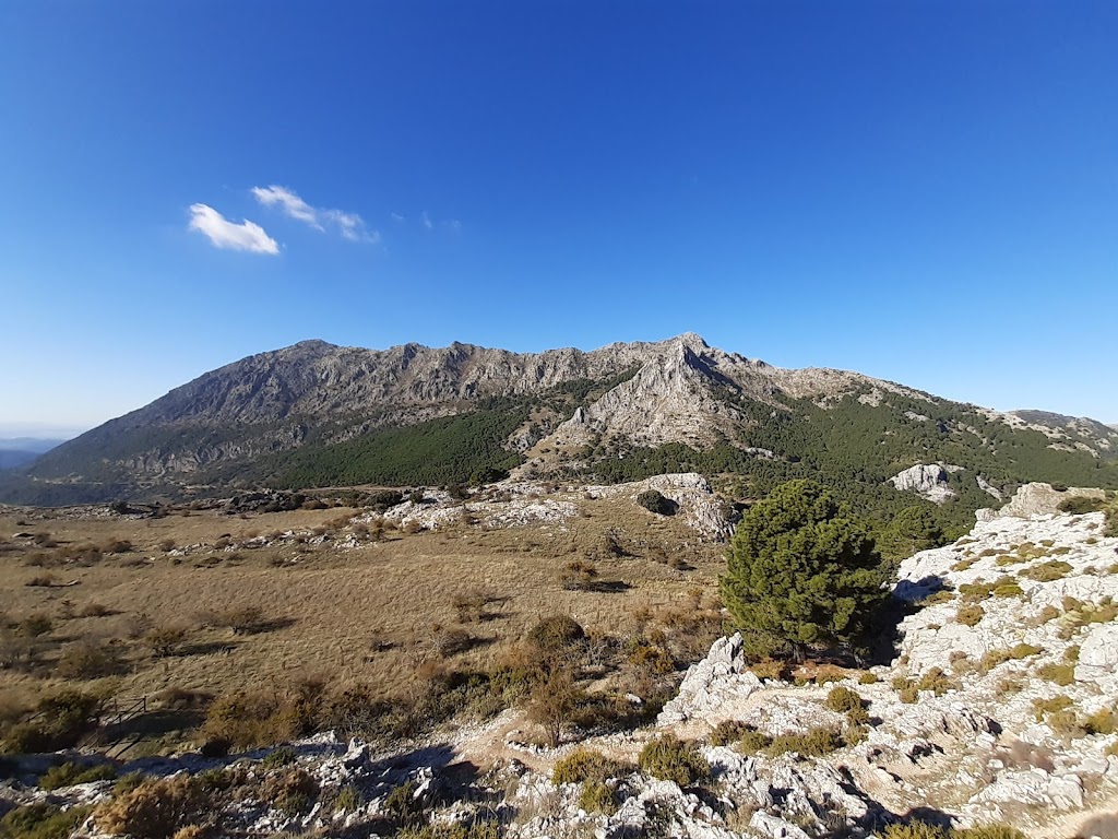 Sendero Puerto de las Presillas