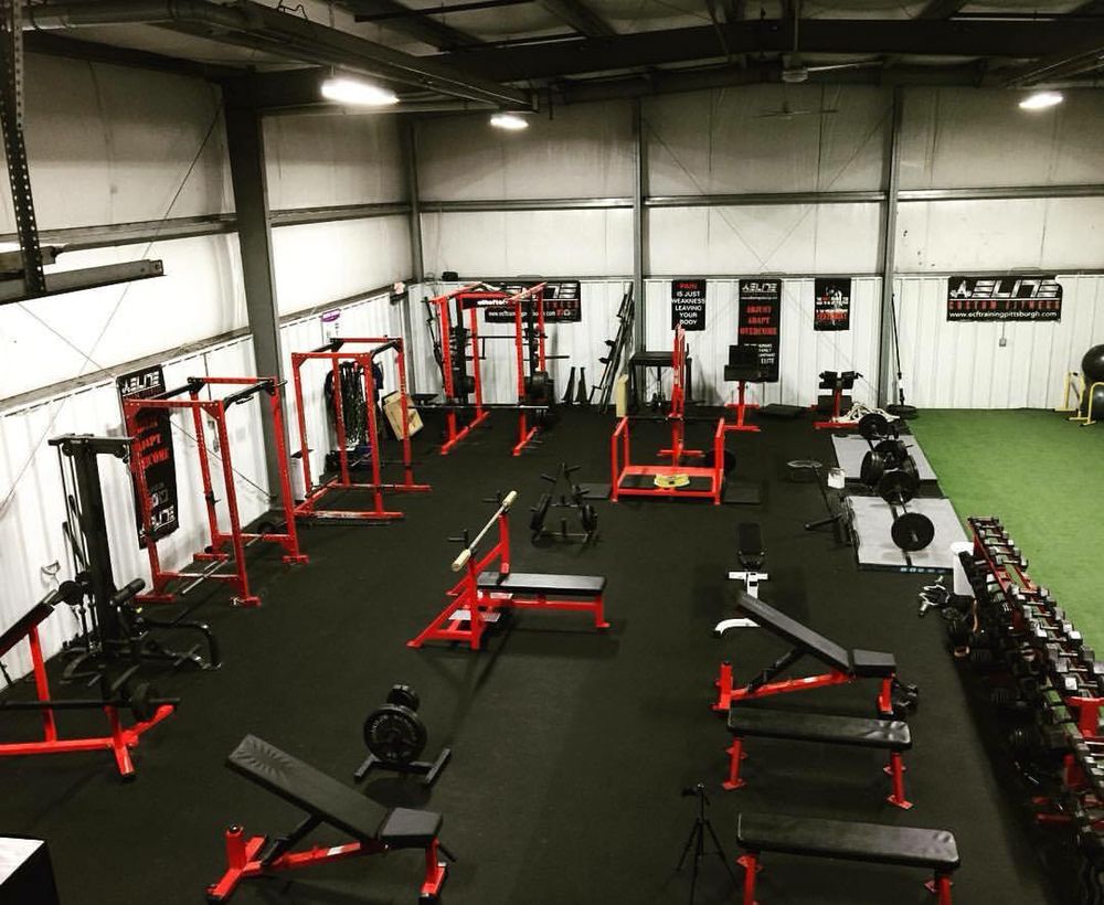  Elite Custom Fitness