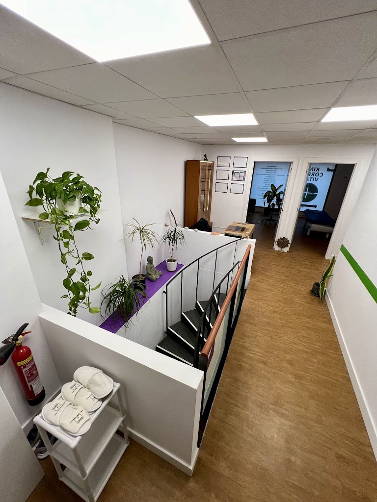 Kine Corpus Vitae | Fisioterapia i Osteopatia