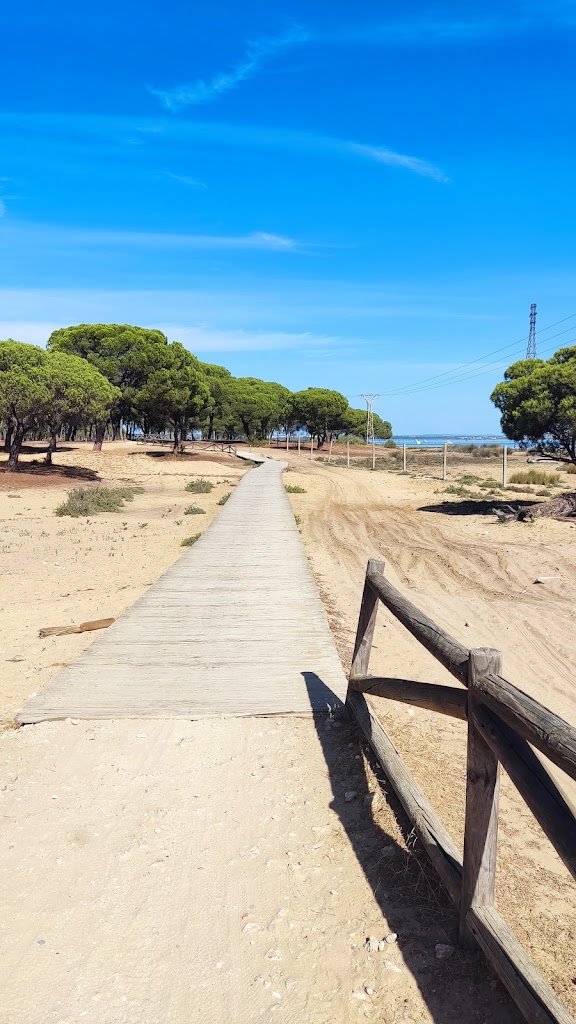 Sendero de la Ribera de Punta Umbria