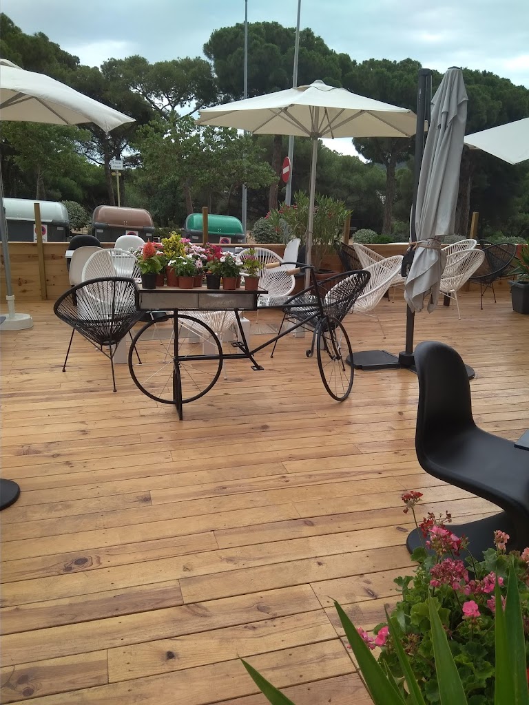 Bar Restaurante Monte Vista