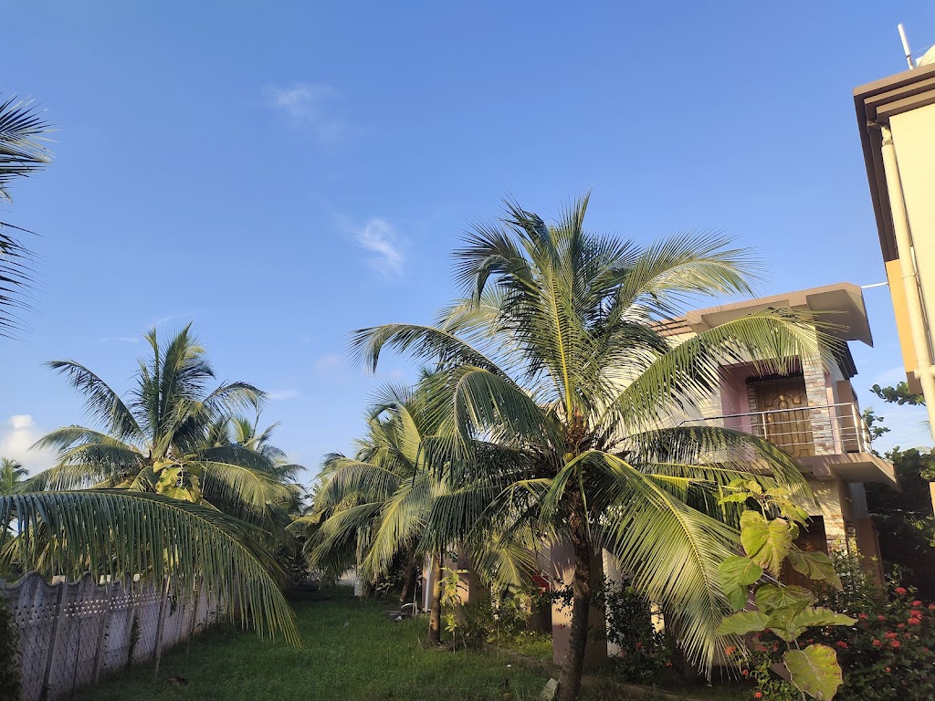 Kings Coco Resort