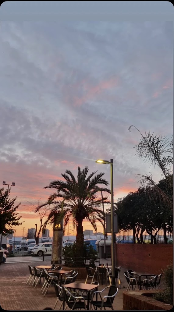 Bar Las Palmeras — Mas recientes